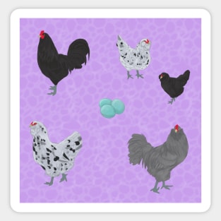 BBS Ameraucana Pattern Purple Sticker